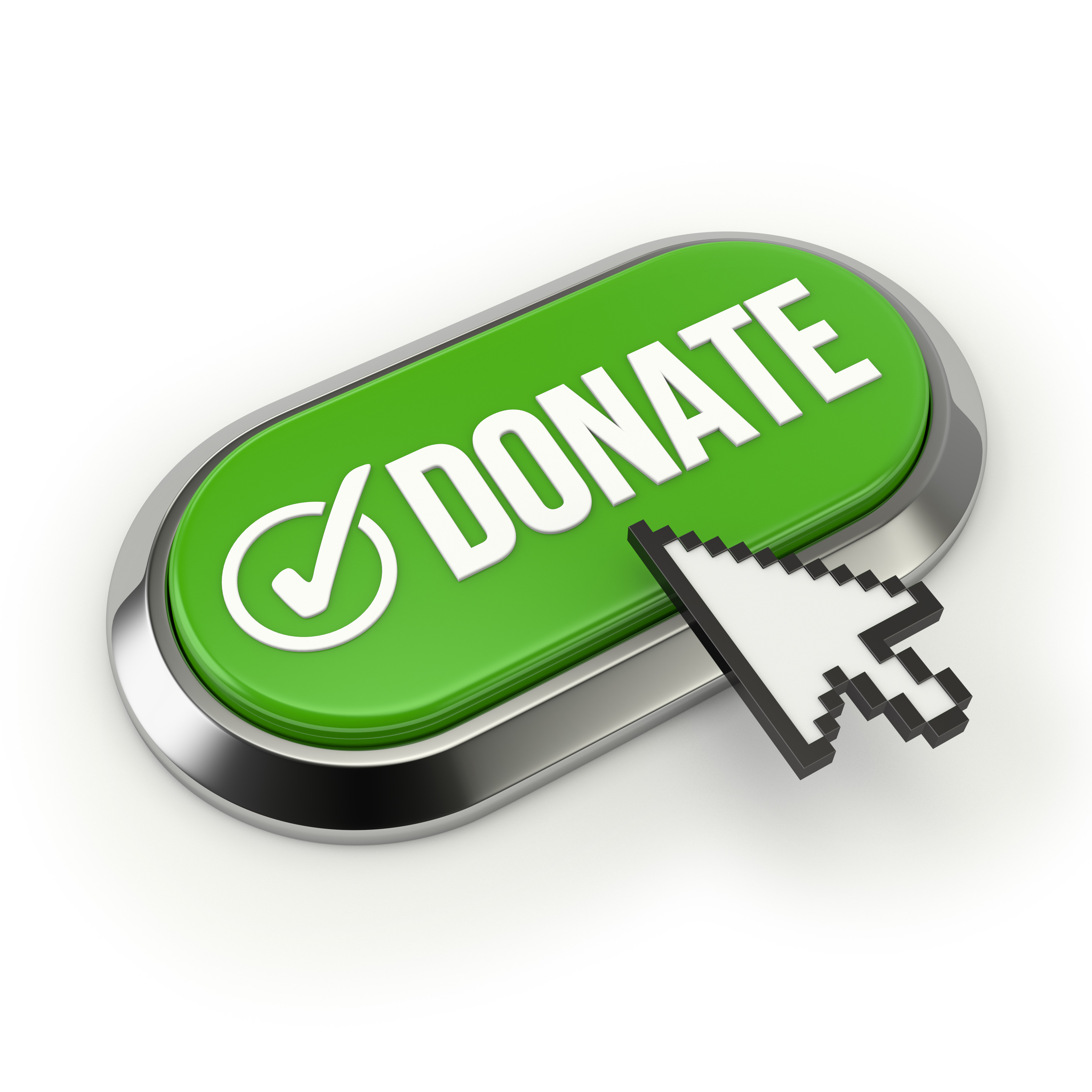 Donate Now Button