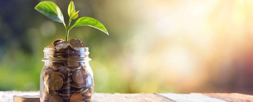 Image of a jar filled with coins and a plant in it